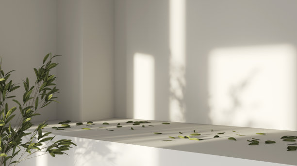 白色背景的产品展示平台场景与叶影平台。三维矢量渲染的灰色背景与讲台。化妆品可以展示。基座图片下载