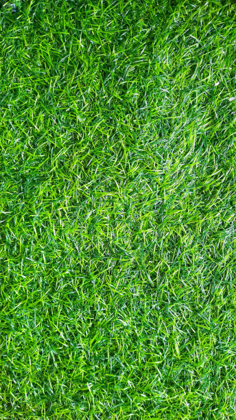 绿色合成草背景。背景产品照片或写报价或激励的话图片下载