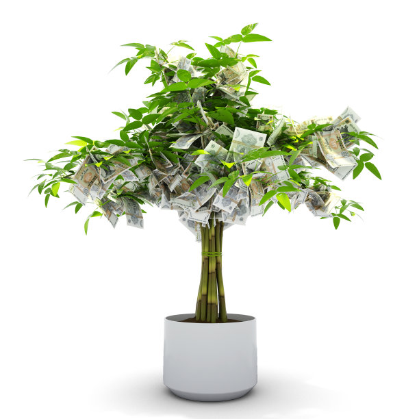 摩尔多瓦柳树。3d渲染的钱在树上孤立的白色背景。经济增长图片下载