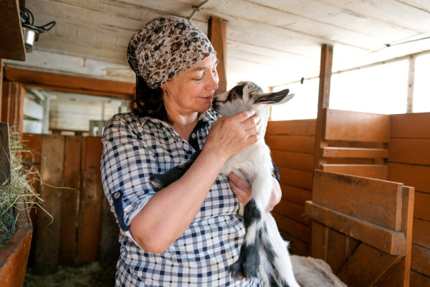 女农民抱着小高山山羊。可爱的小山羊肖像。图片下载