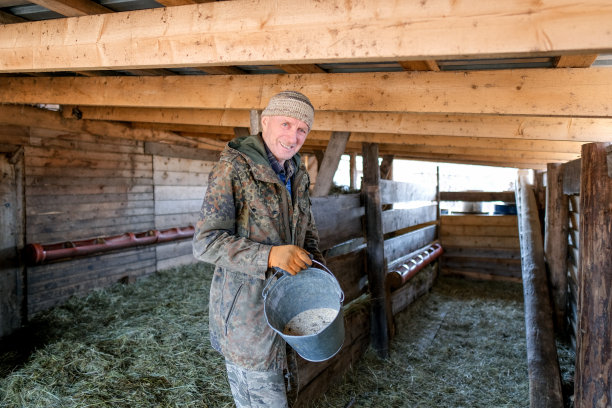 农夫们在农场里给山羊倒饲料图片下载