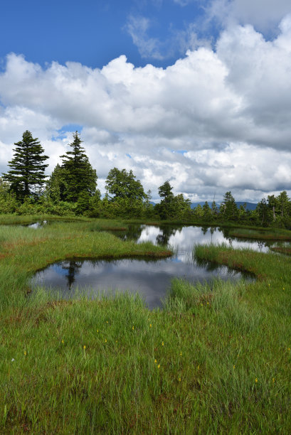 从福岛三池出发攀登尾泽的久内山图片下载