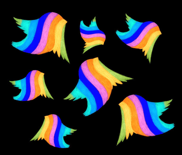 黑色背景上的彩色鸟。图片下载