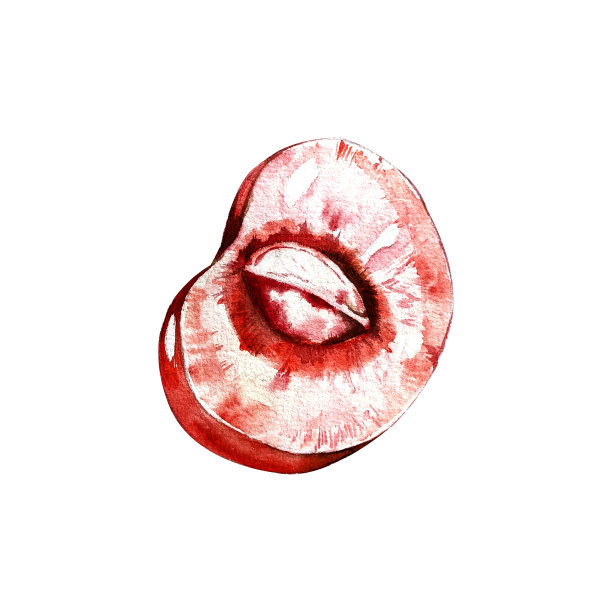 一套樱桃水彩画。鲜嫩多汁的樱桃浆果，有花有叶。设计图片下载