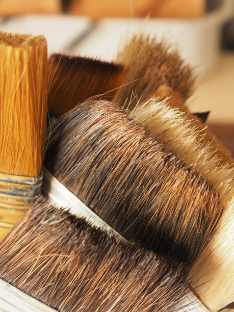 拍一张猪鬃的特写照片。图片下载