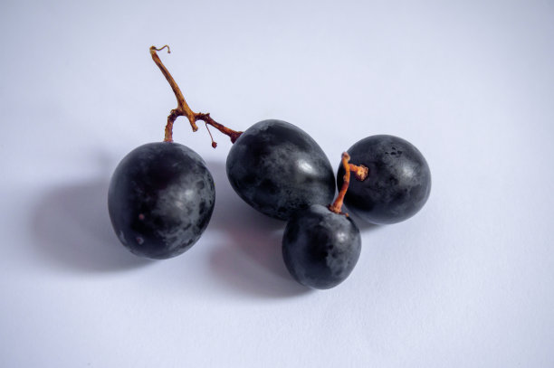 黑葡萄图片下载