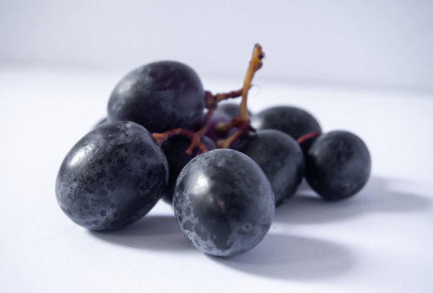 黑葡萄图片下载