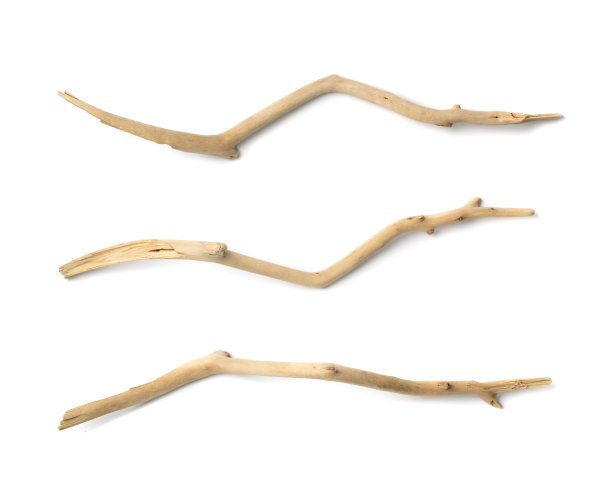 浮木枝孤立，海木枝，浮木图片下载