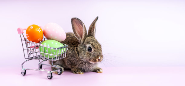 复活节兔子，粉红色的背景上有购物车和甜蜜的彩色蛋，可爱的哺乳动物，在大自然生活中有美丽明亮的眼睛，动物概念，复活节假期销售。图片下载