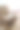 扶手椅立在公寓的镶木地板上图片下载