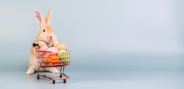 复活节兔子，有购物车和可爱的彩蛋，可爱的哺乳动物，明亮的眼睛在大自然的生活，动物概念，复活节假期销售。图片下载