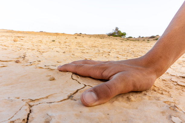 一只手触摸着干燥的土地。图片下载