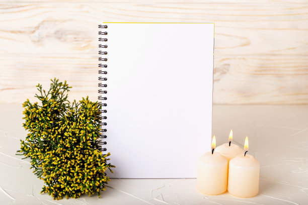 在浅色背景上的空白笔记本的模型图片下载