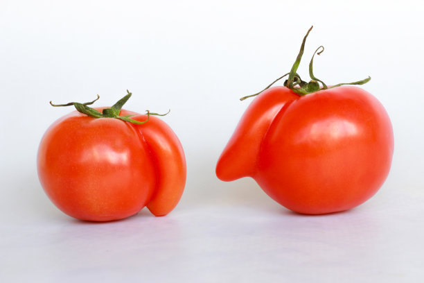 白色背景上变形的红番茄图片下载