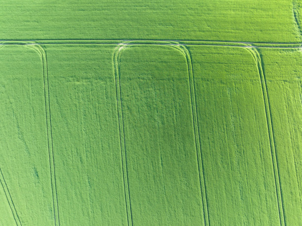 航拍图像显示从天空看到的田野。可以用作背景或纹理。图片下载
