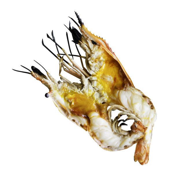 烤鲜大虾孤立在白色与剪辑路径图片下载