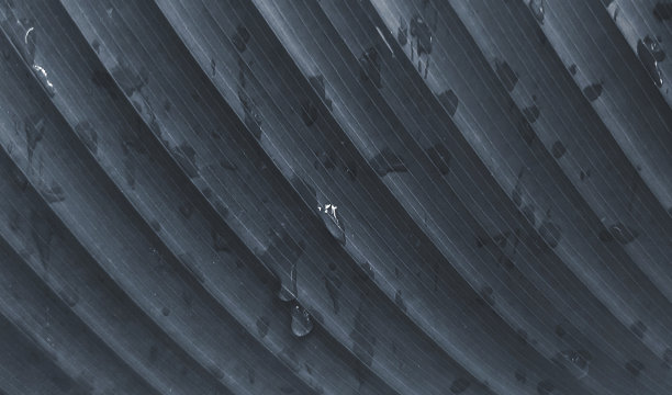 图案和线条香蕉叶的背景在黑白色调图片下载