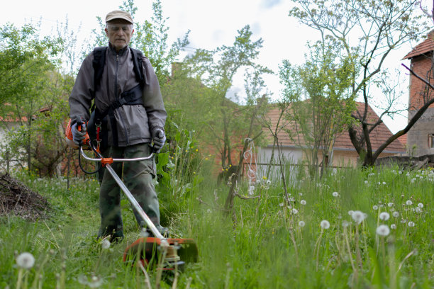一位老人正在用草坪修剪机修剪高大的绿草图片下载