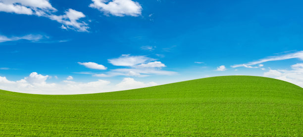 绿色的田野，蓝天的背景图片下载