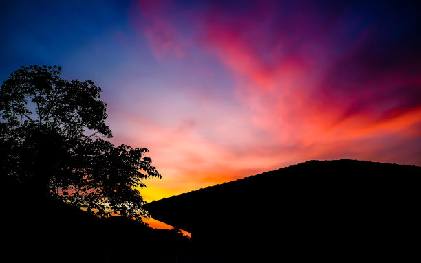 顶部的树和屋顶的房子剪影，黄昏的天空与云彩的看法在傍晚的背景图片下载