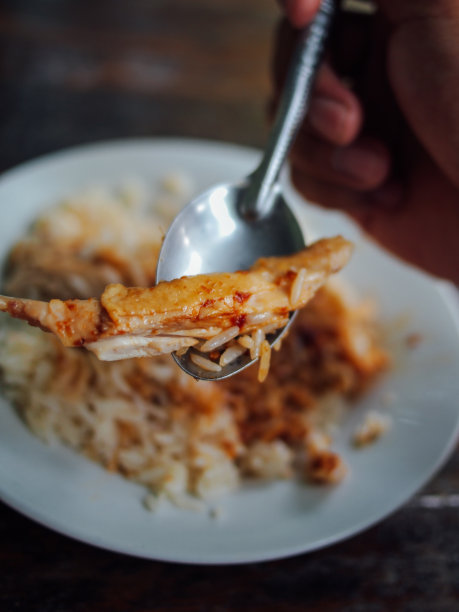 中式鸡饭图片下载