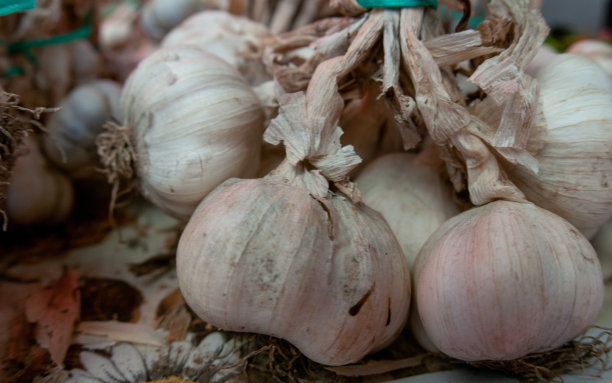 市场摊位上的大蒜图片下载
