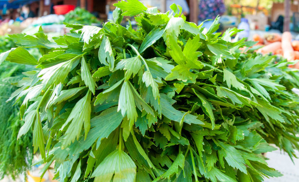 在市场摊位上的Lovage图片下载