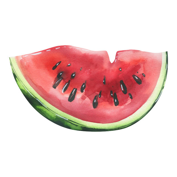西瓜片大。水彩插图。从BEACH HOLIDAY系列中分离出来的对象。用于食谱、菜单、咖啡厅、沙滩、夏日、商店的装饰设计图片下载
