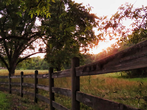 沿着铁轨图片下载