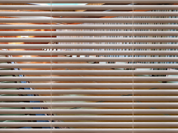 在经典风格的会议室，透过白色办公室百叶窗观看图片下载