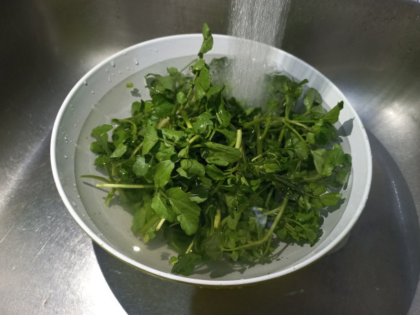 水洗豆瓣菜或塞拉达空气下自来水图像|库存照片图片下载