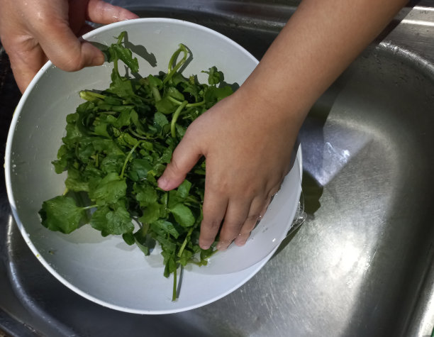 水洗豆瓣菜或塞拉达空气下自来水图像|库存照片图片下载