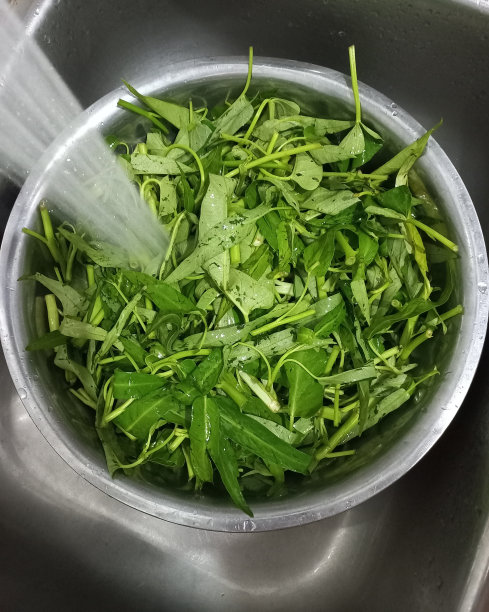 洗康功或水菠菜下自来水图像|库存图片图片下载