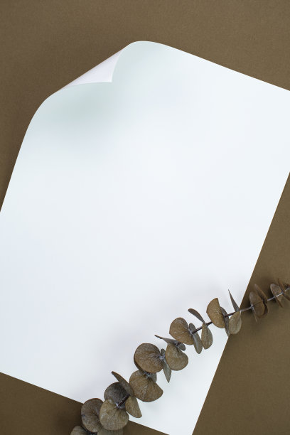 植物和白纸模型图片下载