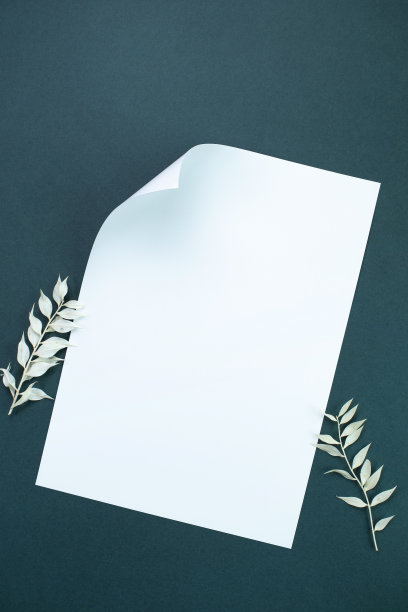 植物和白纸模型图片下载