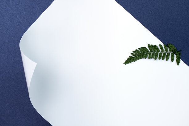 植物和白纸模型图片下载