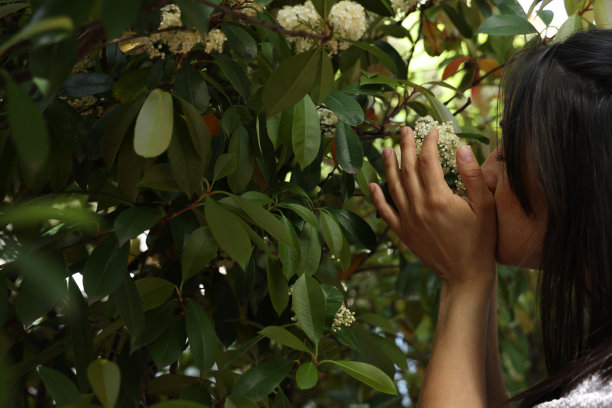 女人手摸树叶图片下载
