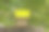 一台电视和一个儿童木制的小床头柜矗立在阳光下的森林里，空出一个地方用来写文字图片下载