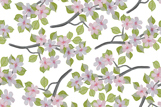 水彩无缝图案与苹果树枝与白色的花朵。图片下载