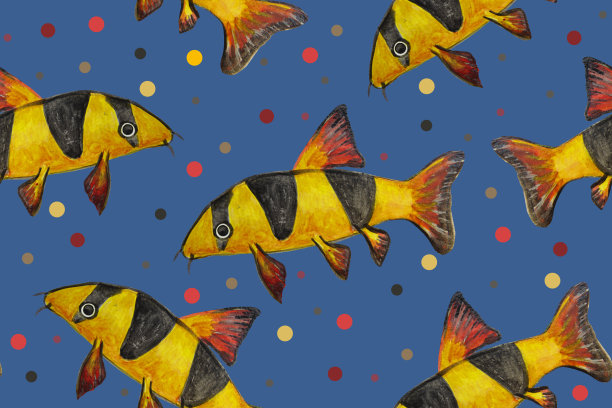 无缝图案与条纹水彩画鱼。图片下载