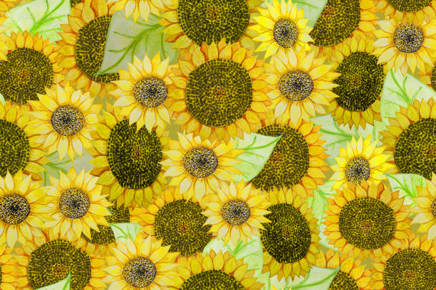 水彩无缝图案与黄色向日葵。图片下载