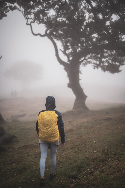 一个背包客的后景，穿着防雨的衣服，穿过有大月桂树的雾蒙蒙的森林。法纳尔森林，马德拉岛，葡萄牙，欧洲。图片下载