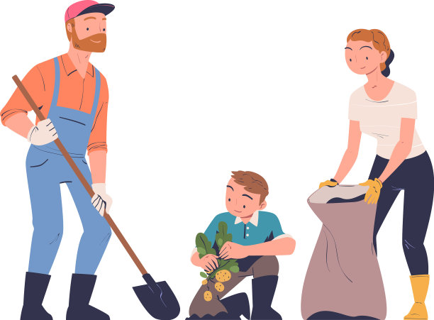 家庭收获采摘和收集成熟图片下载