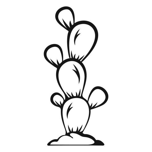 仙人掌牛仔划图片下载