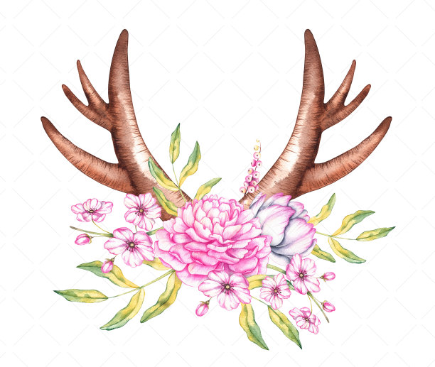 水彩鹿角配一束牡丹、郁金香、浆果图片下载