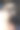 修剪狗毛。宠物护理。女美容师用发刷梳头。图片下载