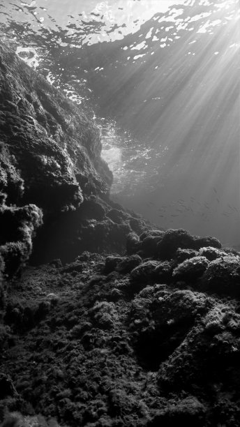 暗礁上光线的水下照片图片下载