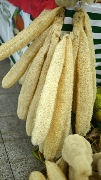 巴西goi<e:1>尼亚- 2023年5月17日农业和手工艺商业博览会，蔬菜手工艺农业艺术工作坊图片下载