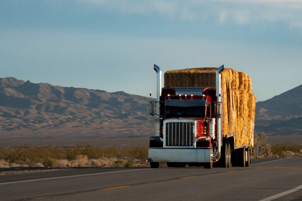 当太阳在内华达州的沙漠上落下时，一辆半挂车隆隆地穿过广阔的沙漠。它强大的存在穿透了孤独，雄伟的山脉矗立在背景中。图片下载