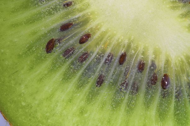 猕猴桃片泡在有气泡的液体里的特写。把成熟的猕猴桃片泡在水里。特写的新鲜猕猴桃片覆盖着泡沫。微距水平图像。图片下载